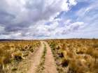 Argentina, Cordoba Province. Quebrada del Condorito National Park. Art Print